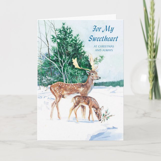 Für meinen Schatz am Weihnachten und immer (Vorderseite)