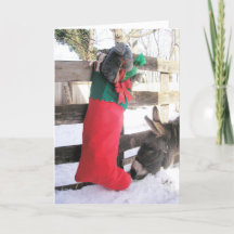 "Für mich?" Weihnachtskarte