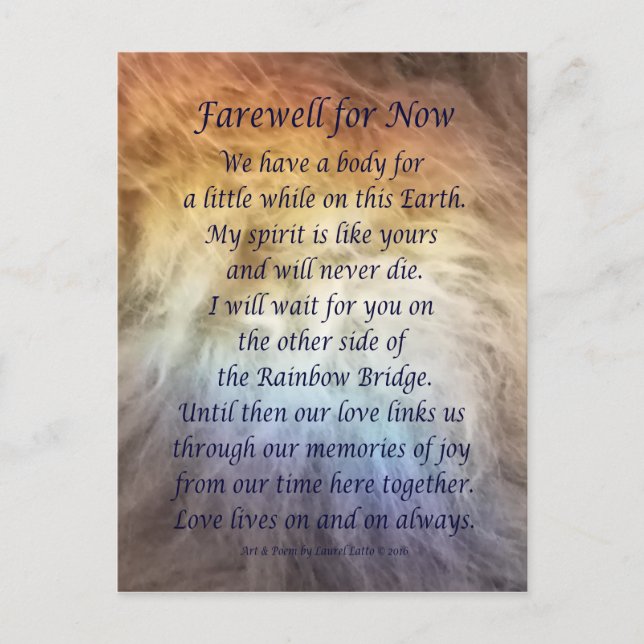Fur Rainbow Bridge Pet Grief Sympathy Postcards Postkarte (Vorderseite)