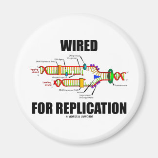 Für Replikation (DNA-Replikation) verkabelt Magnet