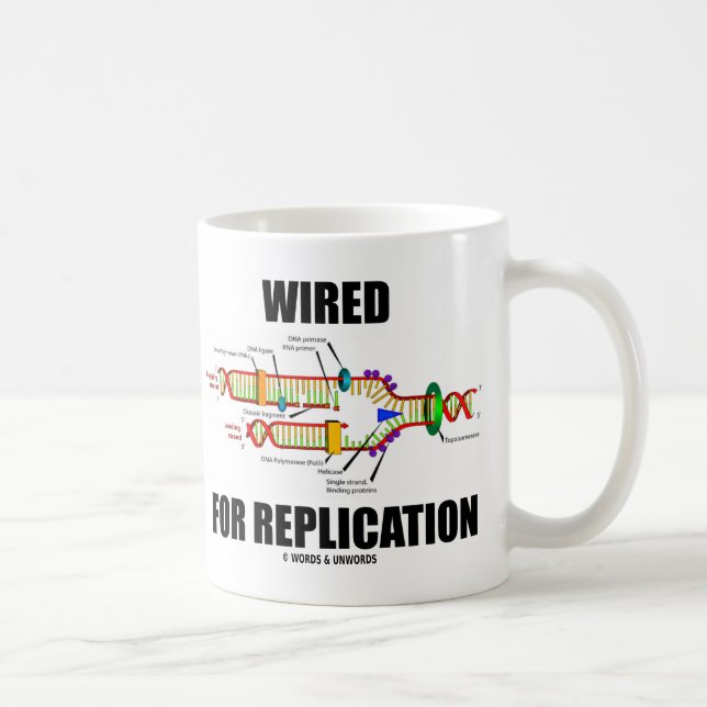 Für Replikation (DNA-Replikation) verkabelt Tasse (Rechts)