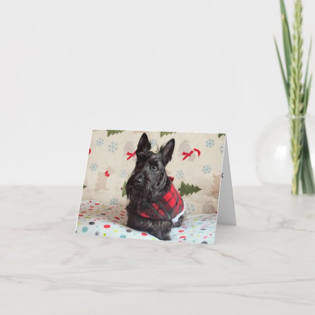 Für Santa Paws Card gewartet (mit Text) Karte (Vorderseite)