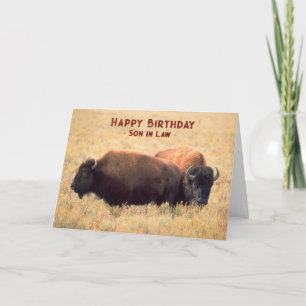 Für Sohn im Gesetz Geburtstag mit einem Paar Bison Karte
