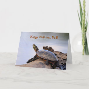 Für Vater, Schildkröte Geburtstag Karte