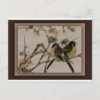 Für Vögel Postkarte