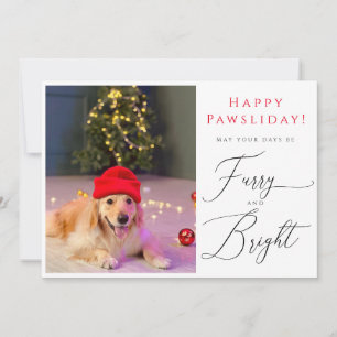 Furche und helle Haustiere 3 Foto Funny Ferienkart Einladung