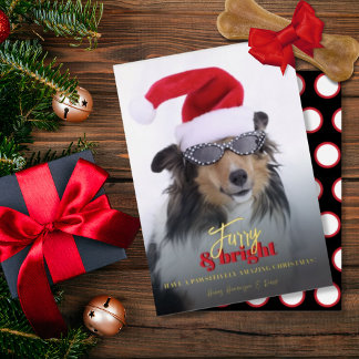 Furcht und helles Weihnachtshund Foto Folien Feiertagskarte