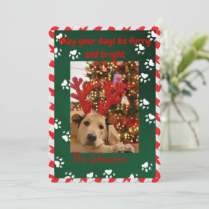 Furcht und Hunde Foto Weihnachtskarte Feiertagskarte