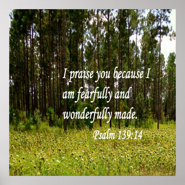 Furcht und wunderbar gemacht poster (Vorne)