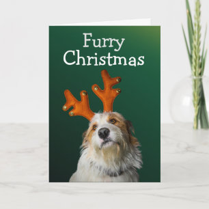 Furcht Weihnachten von der Hundekarte Dankeskarte
