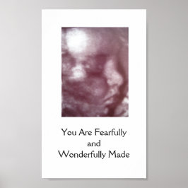 Furchtbar und wunderbar gemacht / Poster