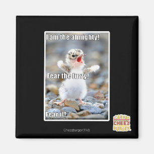 Fürchte den Schwindel! Magnet