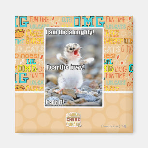 Fürchte den Schwindel! Magnet