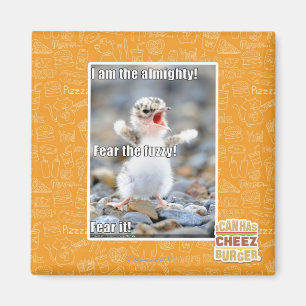 Fürchte den Schwindel! Magnet