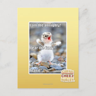 Fürchte den Schwindel! Postkarte