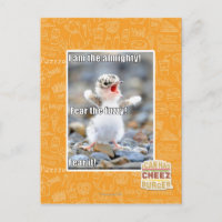 Fürchte den Schwindel!