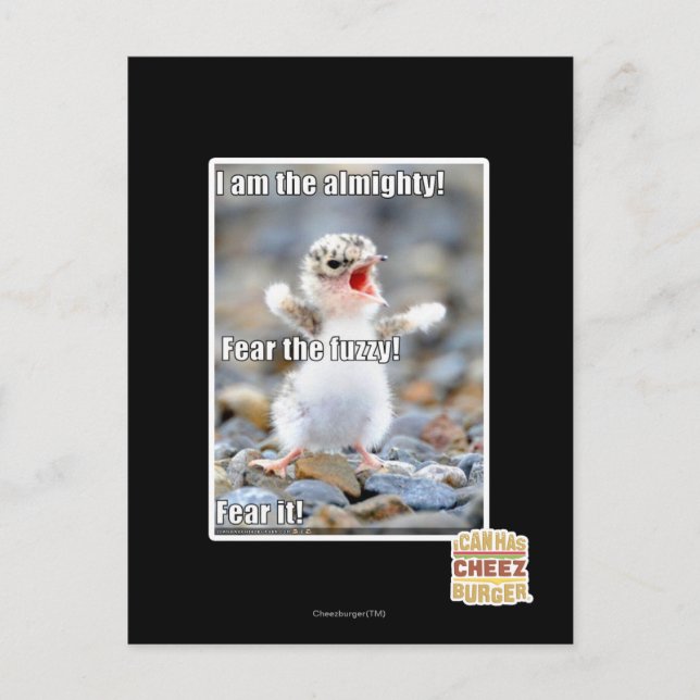 Fürchte den Schwindel! Postkarte (Vorderseite)