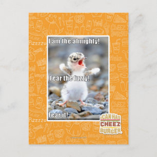 Fürchte den Schwindel! Postkarte