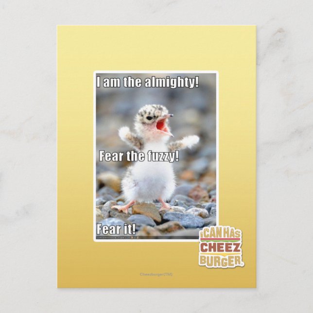 Fürchte den Schwindel! Postkarte (Vorderseite)