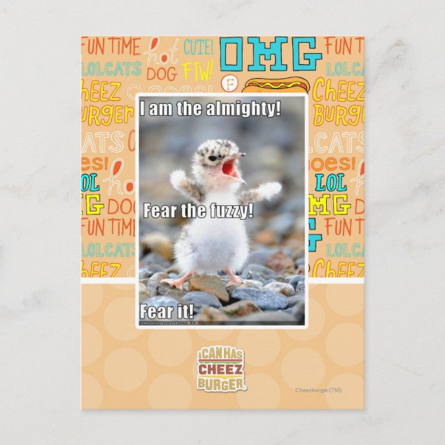 Fürchte den Schwindel! Postkarte (Vorderseite)