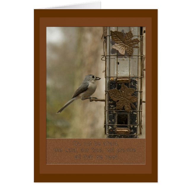 fürchten Sie sich nicht, dass Gott den Vogel auf d (Vorne)