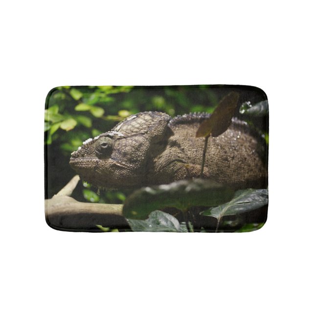 Furcifer oustaleti badematte (Vorderseite)