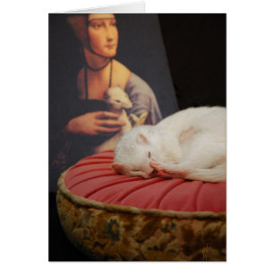 Furet sur coussin Rose II