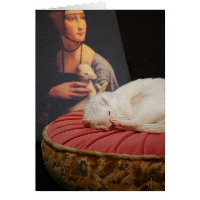 Furet sur coussin Rose II (Vorne)