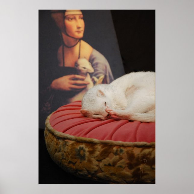 Furet-sur-Coussin-Rose II Poster (Vorne)