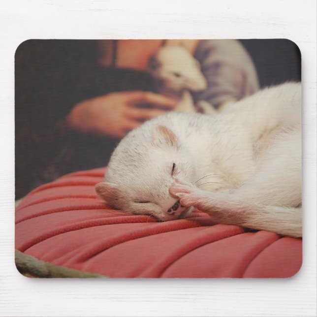 Furet sur coussin Rose Mousepad (Vorne)