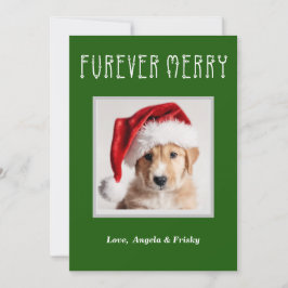 Furever Frohe Personalisierte Weihnachtskarte Feiertagskarte