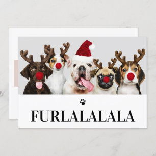 Furlala Hund Weihnachten 5 Foto-Karte Einladung