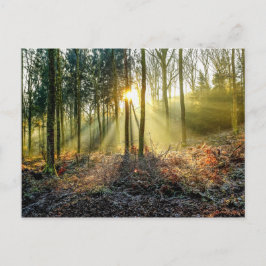 Furnace Valley Postcard Postkarte