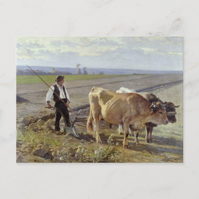 Furrow, 1897 postkarte (Vorderseite)