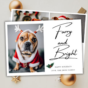 Furry and Bright Pet Hund Foto Mistletoe Weihnacht Feiertagskarte