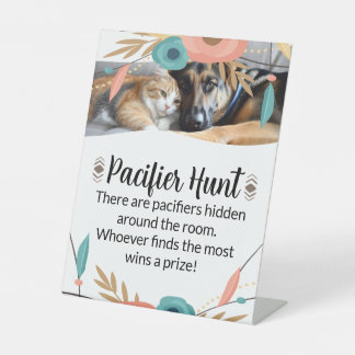 Furry Big Brothers Baby Shower Pacifier Hunt Game Sockelschild