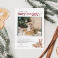 Furry & Bright | Foto-Karte für den Urlaub für Hau