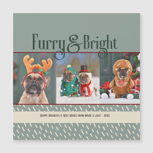 Furry & Bright Hund Weihnachts-Foto Weihnachtsfeie Magnetkarte (Vorderseite)