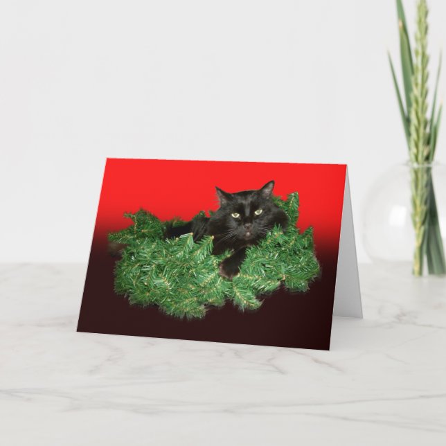 Furry Cat Holiday Card Feiertagskarte (Vorderseite)