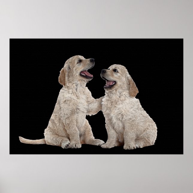 Furry Companions 36 x 24 Poster (Vorne)