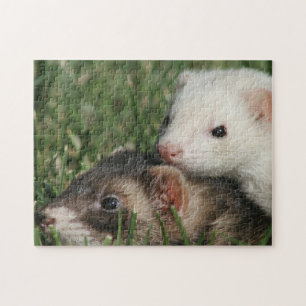Furry Freunde. Weasel Friendly Ferrets Puzzle