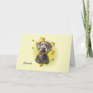 Furry Gray Schnoodle ist eine Star Card Karte