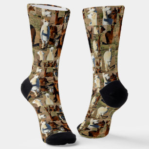 "Furry Moments: An Alpaca Foto Collage" Socken