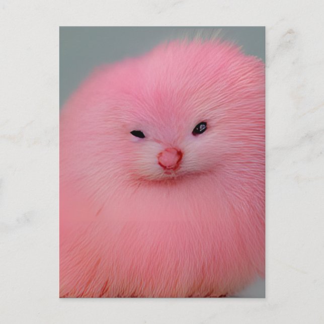 Furry Pink Critter Postkarte (Vorderseite)