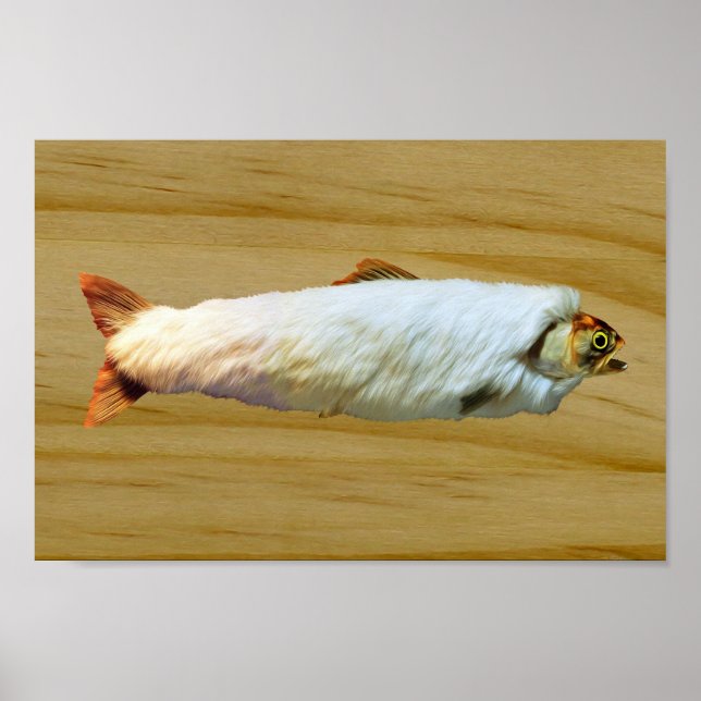 Furry Trout Poster (Vorne)