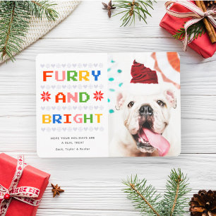 Furry und Bright Weihnachtsferien Hund Foto Feiertagskarte