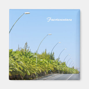 Fürteventura Magnet