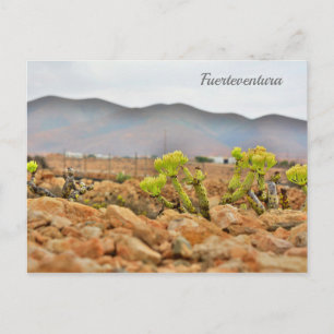Fürteventura Postkarte