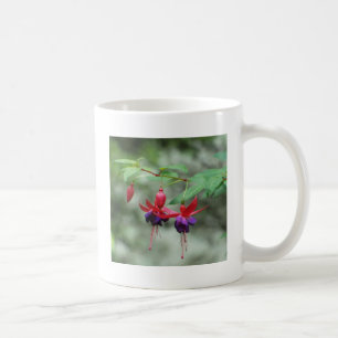 Fuschia1A.jpg Kaffeetasse