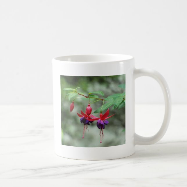 Fuschia1A.jpg Kaffeetasse (Rechts)